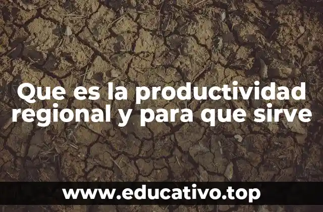 El impacto de la eficiencia económica en el desarrollo territorial