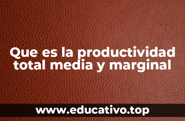 Que es la productividad total media y marginal