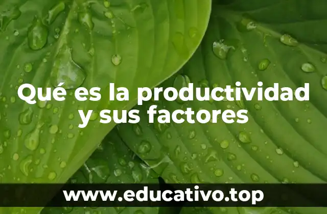 Qué es la productividad y sus factores