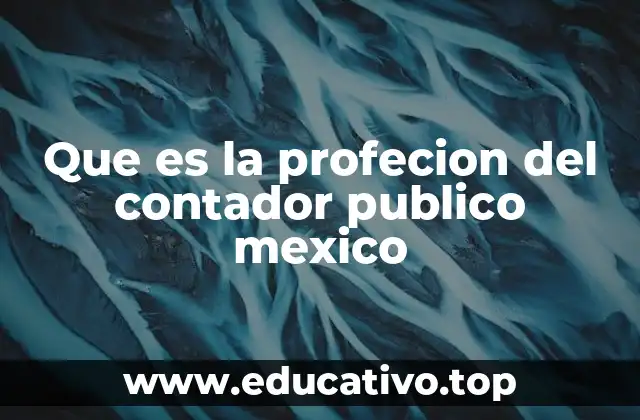 El rol del contador público en el entorno empresarial