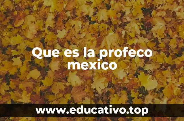 Que es la profeco mexico
