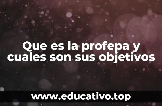 Que es la profepa y cuales son sus objetivos