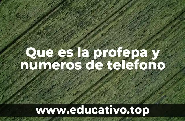 La importancia de la Profepa en la protección del medio ambiente