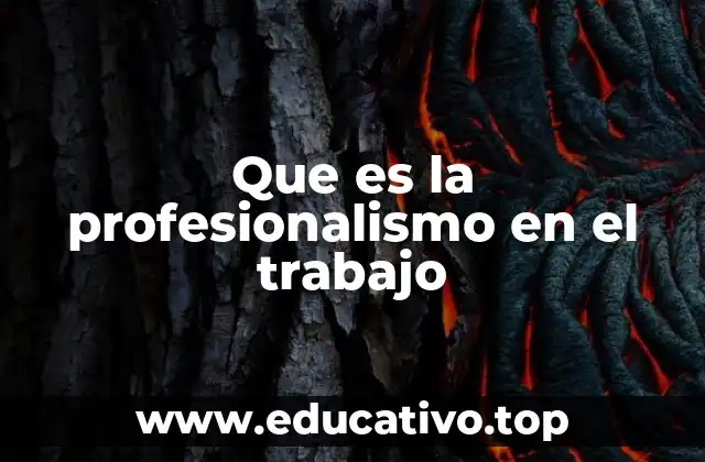 Que es la profesionalismo en el trabajo