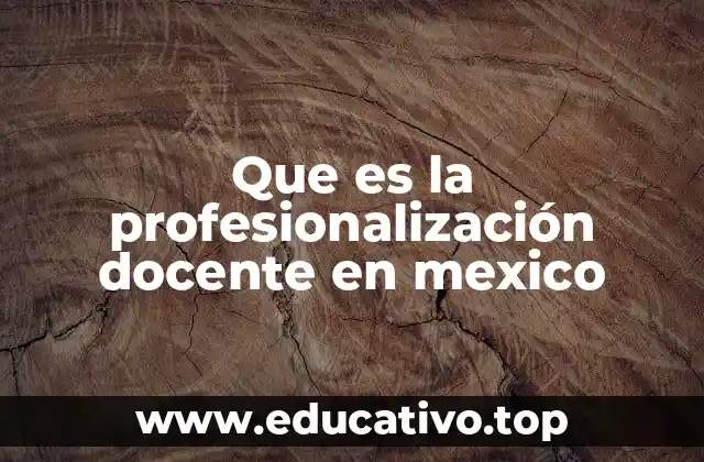 Que es la profesionalización docente en mexico