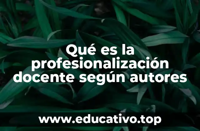 Qué es la profesionalización docente según autores