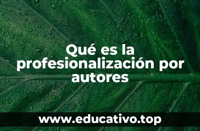 Qué es la profesionalización por autores