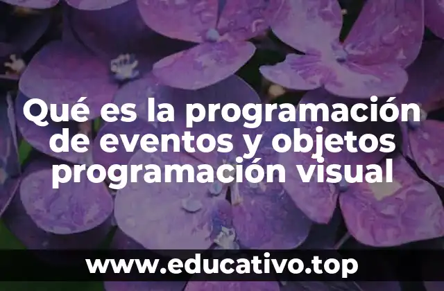 Qué es la programación de eventos y objetos programación visual