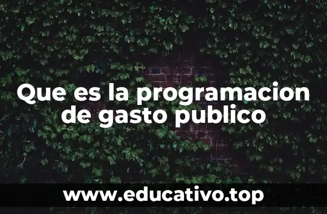 Que es la programacion de gasto publico