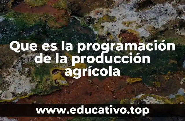 Que es la programación de la producción agrícola