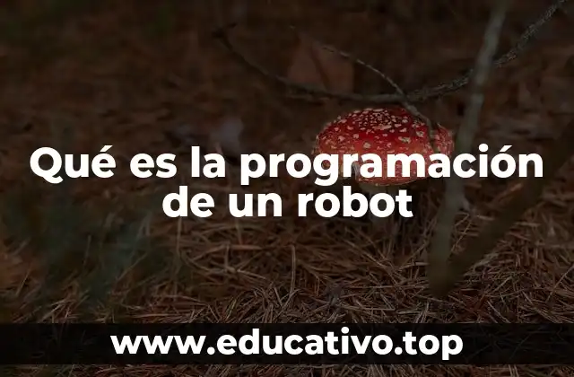 Qué es la programación de un robot
