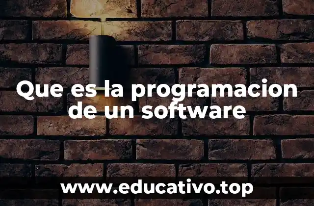 Que es la programacion de un software