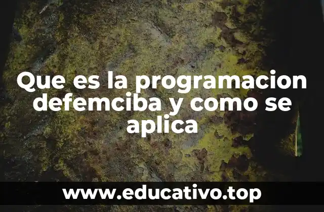 Que es la programacion defemciba y como se aplica