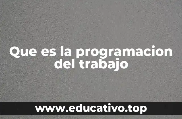 Que es la programacion del trabajo
