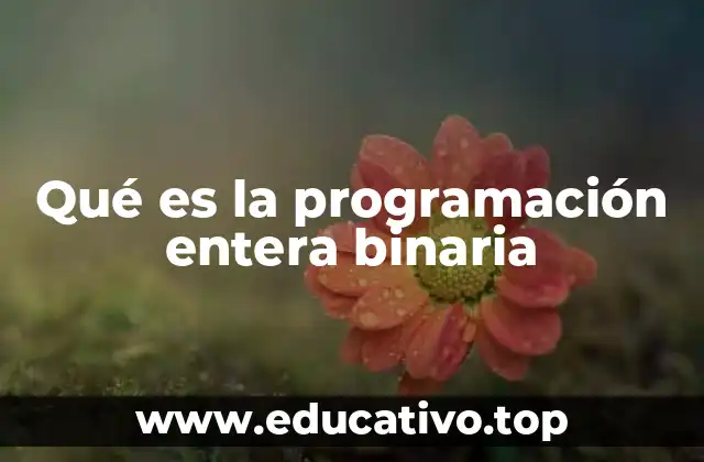Qué es la programación entera binaria