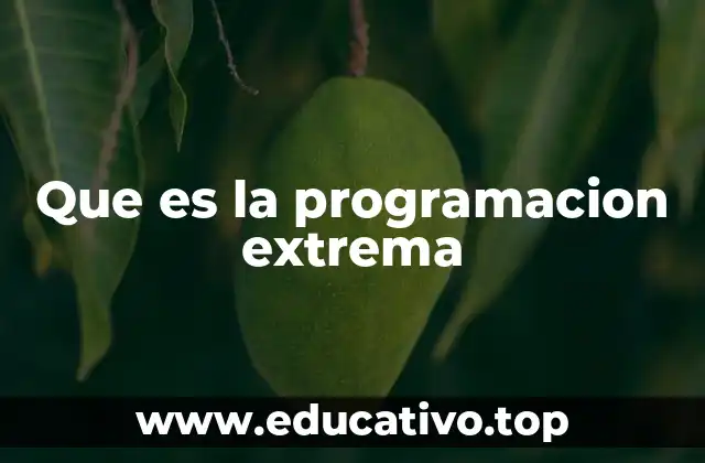 Que es la programacion extrema