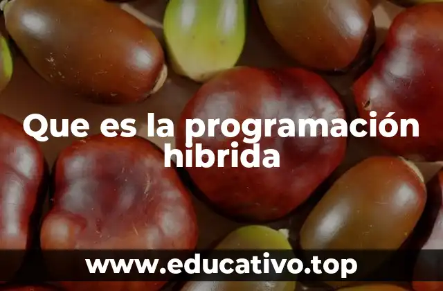 Que es la programación hibrida