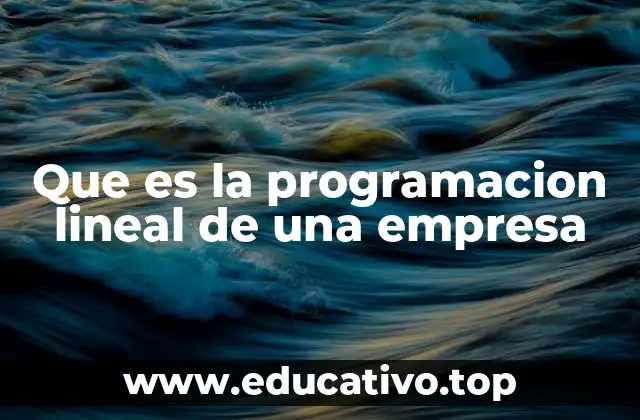 Que es la programacion lineal de una empresa