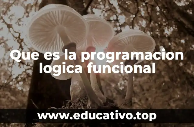 Que es la programacion logica funcional