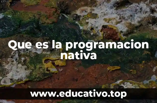 Que es la programacion nativa