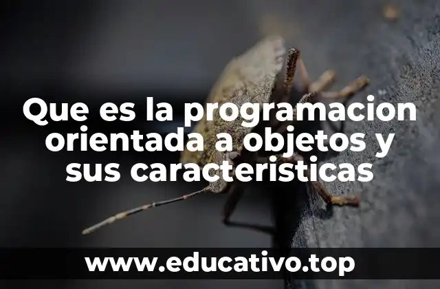 Que es la programacion orientada a objetos y sus caracteristicas