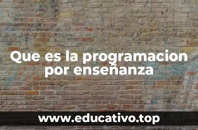 Que es la programacion por enseñanza