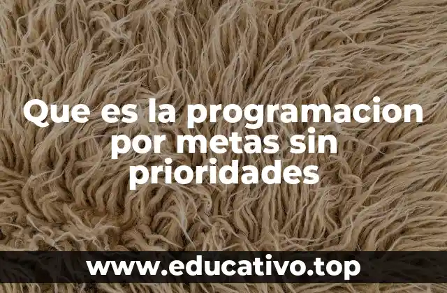 Que es la programacion por metas sin prioridades