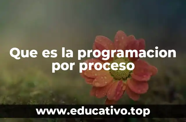 Que es la programacion por proceso