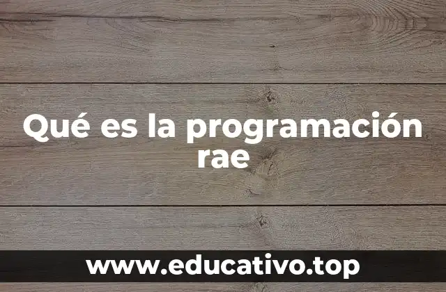 Qué es la programación rae