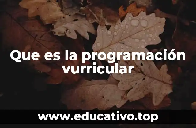 Que es la programación vurricular