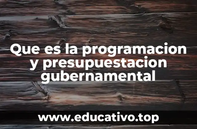 Que es la programacion y presupuestacion gubernamental