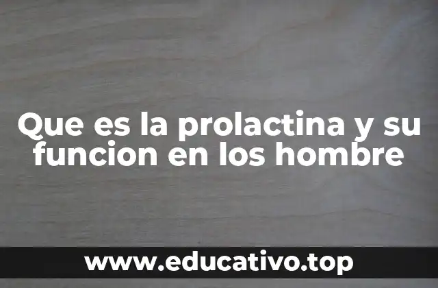 Que es la prolactina y su funcion en los hombre