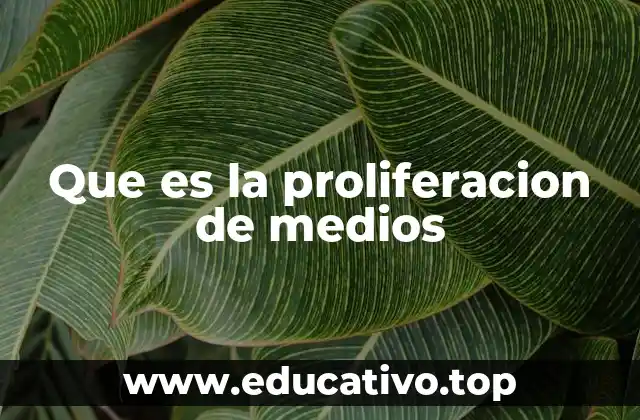 El impacto de la digitalización en la comunicación