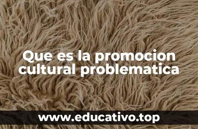 Que es la promocion cultural problematica