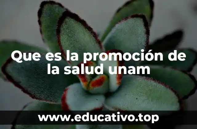 Que es la promoción de la salud unam