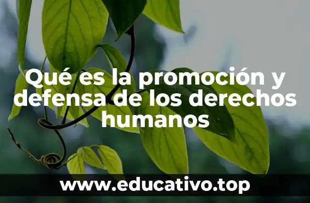 Qué es la promoción y defensa de los derechos humanos