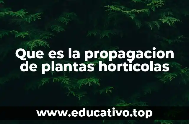 Que es la propagacion de plantas horticolas