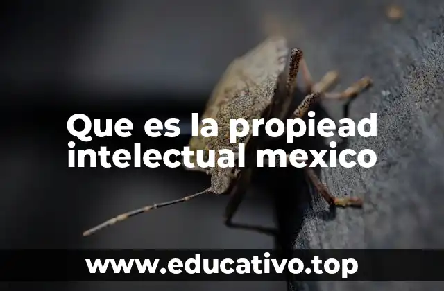 Que es la propiead intelectual mexico