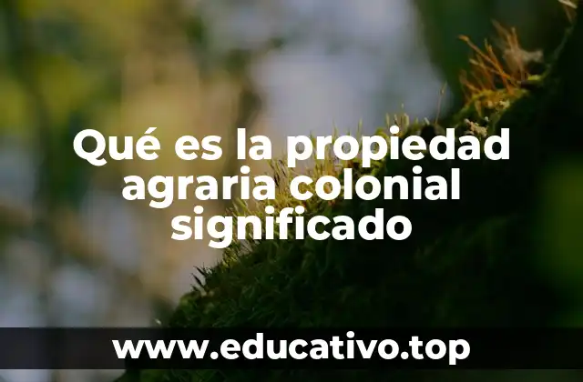 Qué es la propiedad agraria colonial significado