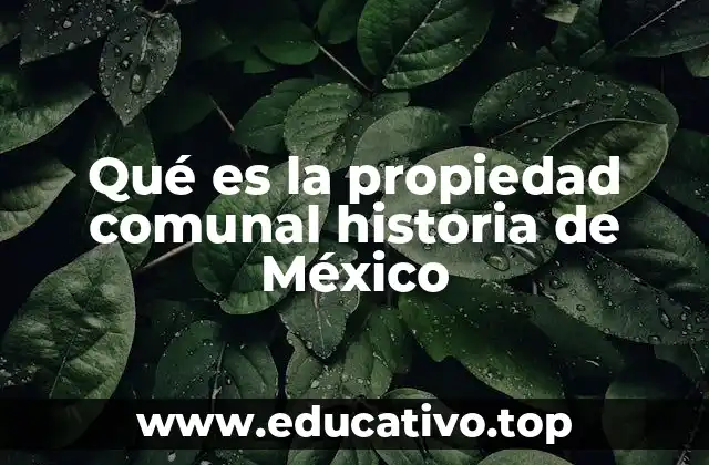 Qué es la propiedad comunal historia de México