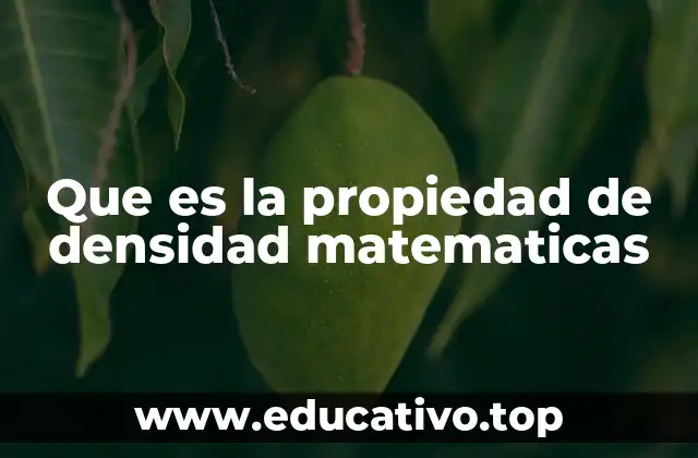 Que es la propiedad de densidad matematicas