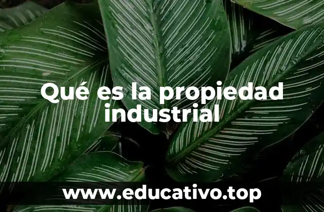 Qué es la propiedad industrial