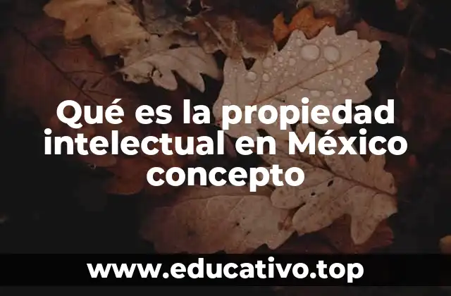 Qué es la propiedad intelectual en México concepto