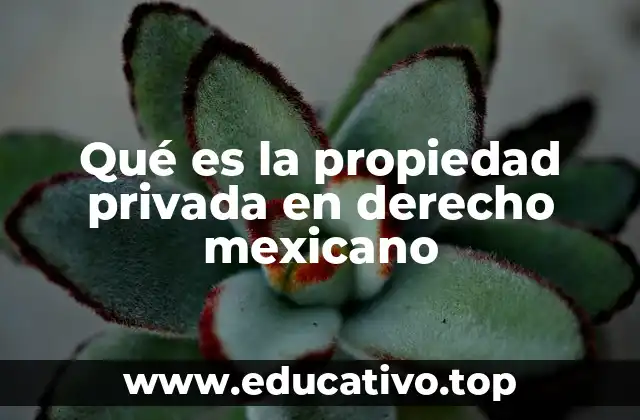 Qué es la propiedad privada en derecho mexicano