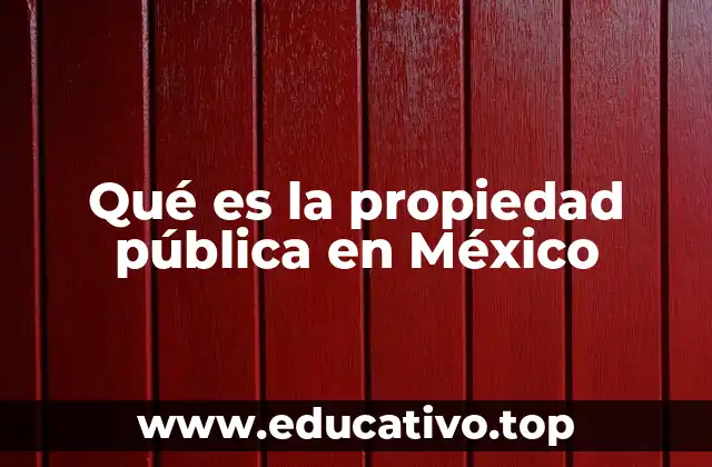 Qué es la propiedad pública en México