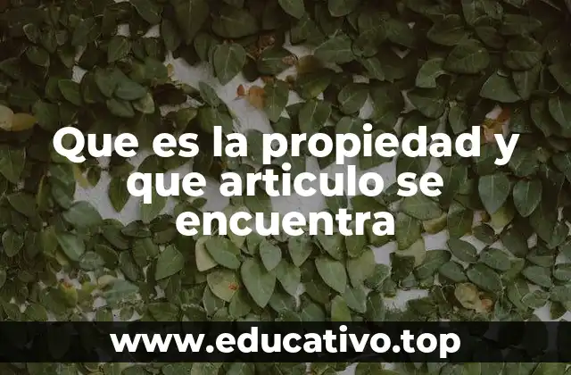 Que es la propiedad y que articulo se encuentra