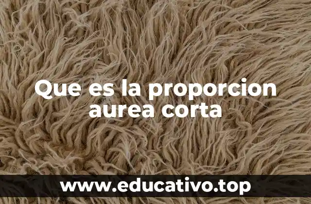 Que es la proporcion aurea corta