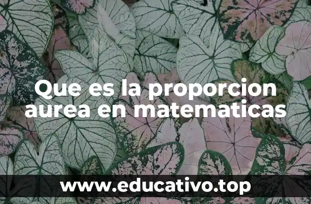 Que es la proporcion aurea en matematicas