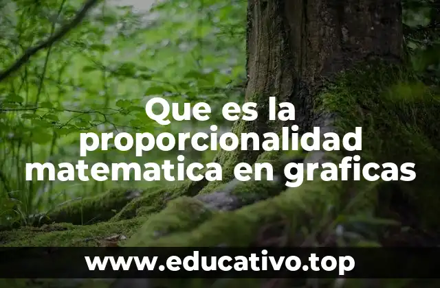 Que es la proporcionalidad matematica en graficas