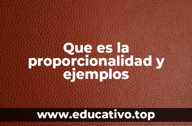 Que es la proporcionalidad y ejemplos